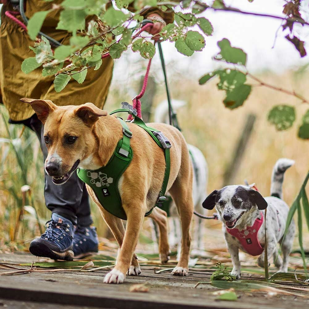 Hurtta Weekend Warrior II ECO Dog Harness Parsley 5 Sizes