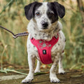 Hurtta Weekend Warrior II ECO Dog Harness Parsley 5 Sizes