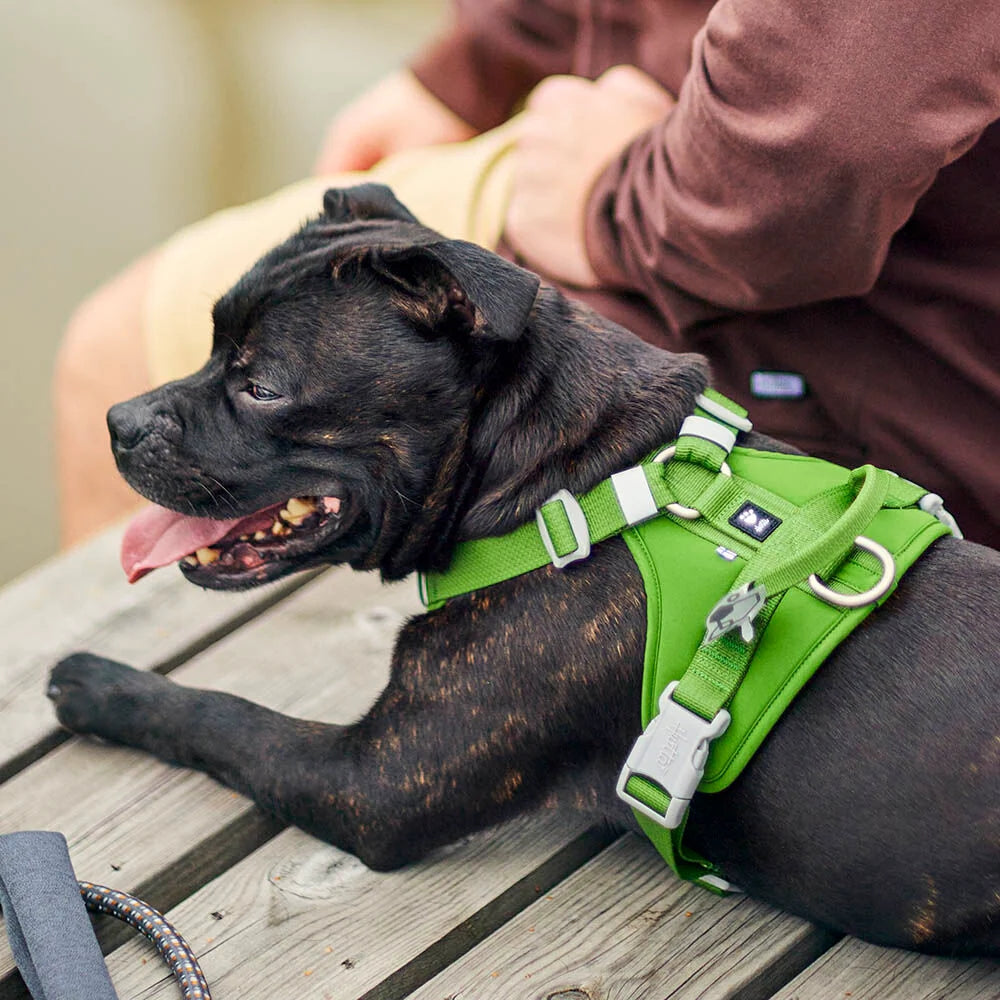 Hurtta Weekend Warrior II ECO Dog Harness Parsley 5 Sizes