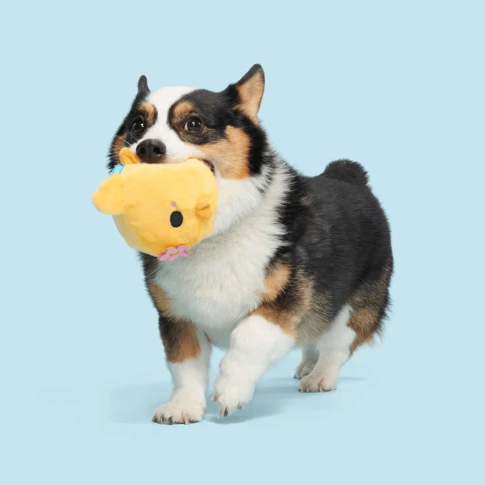 BARK Lil’ Hennifer Backyard Garden Dog Toy
