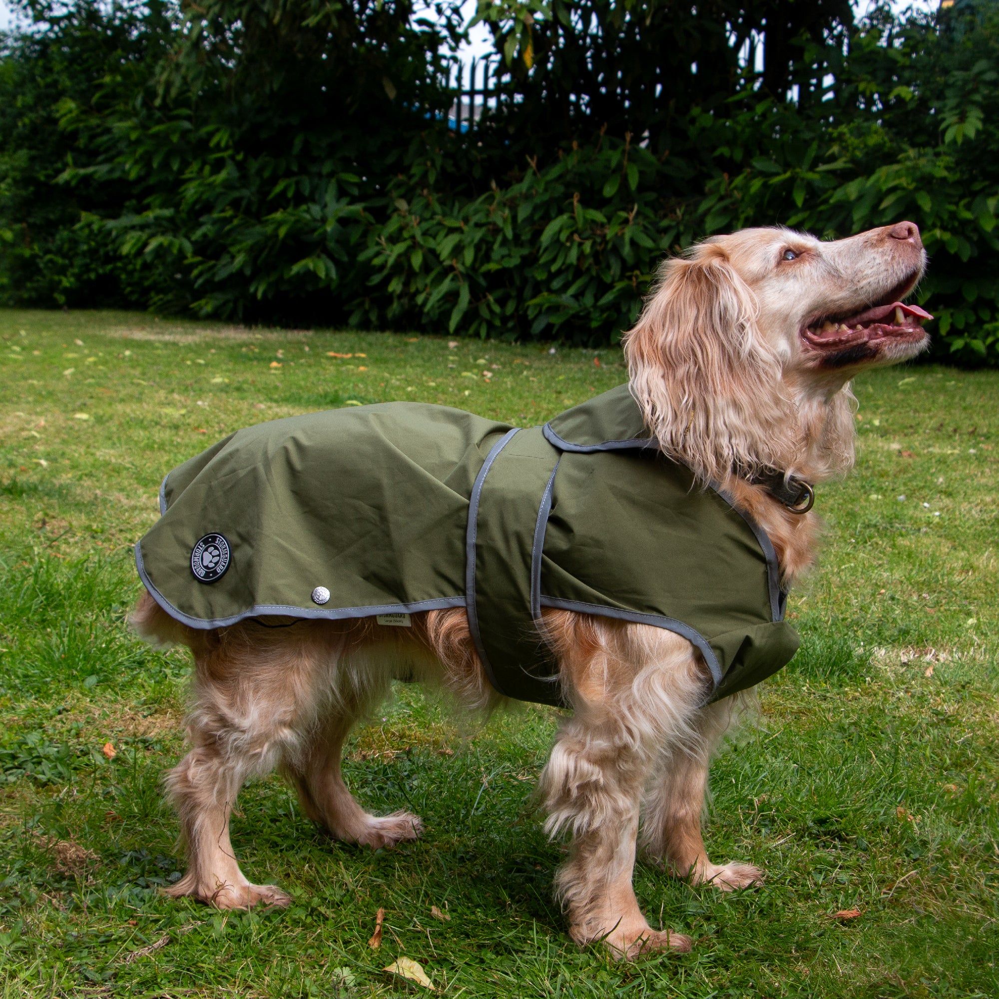 Ancol Dog Puppy Coats Stormguard Soft Shell Khaki 7 Sizes