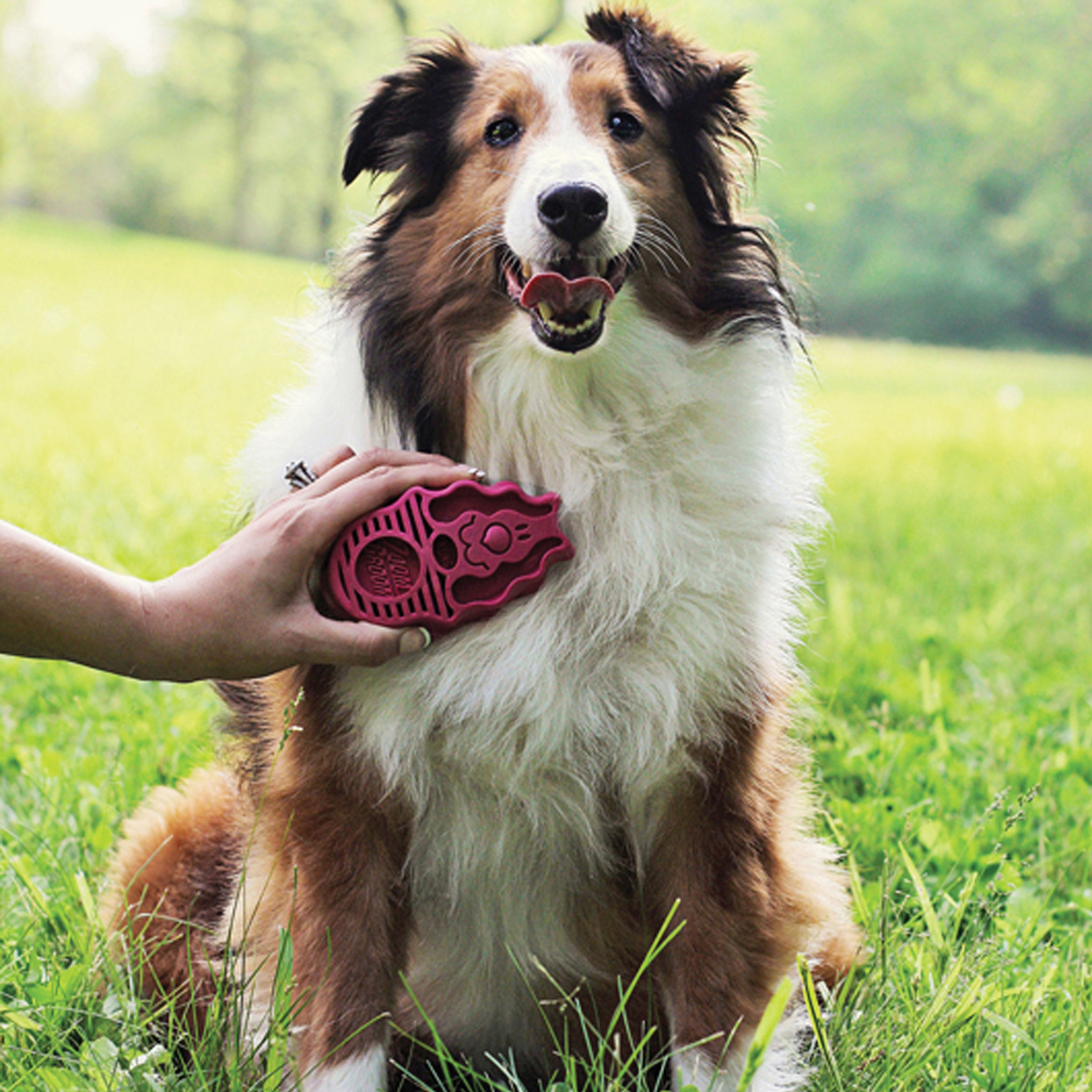 KONG ZoomGroom Raspberry