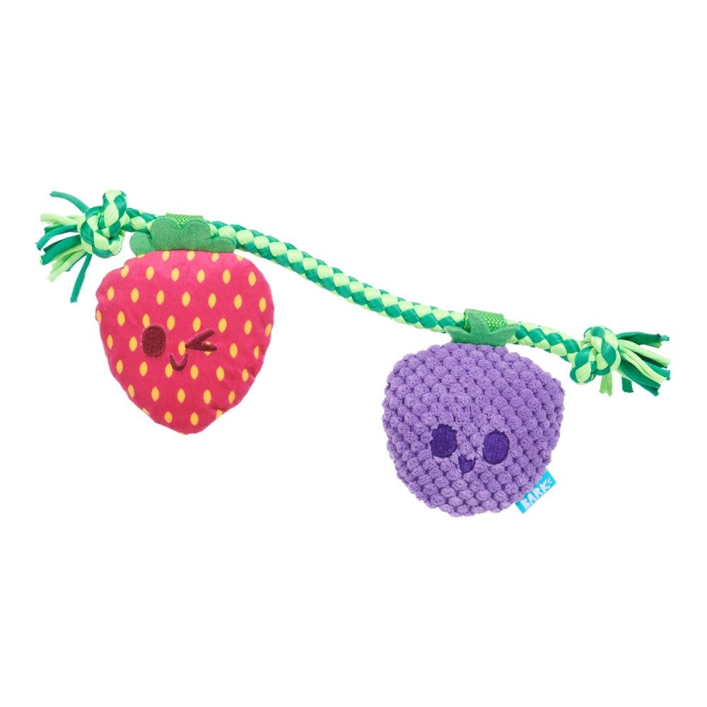 BARK Best Berry Friends Backyard Garden Dog Toy