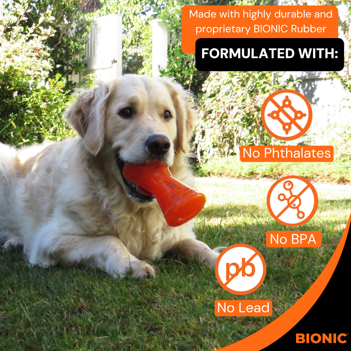 BIONIC Bone Dog Toy 3 Sizes