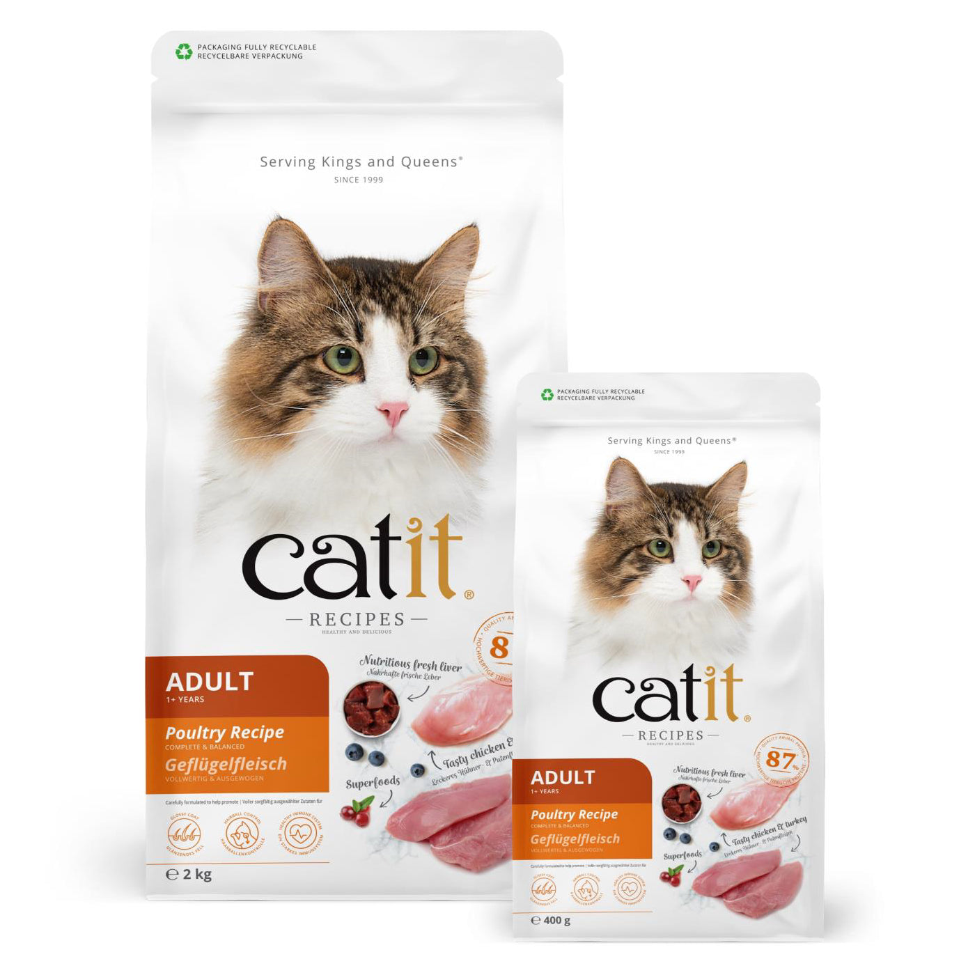 Catit Recipes Adult Poultry Recipe Dry Cat Food 400g/2kg