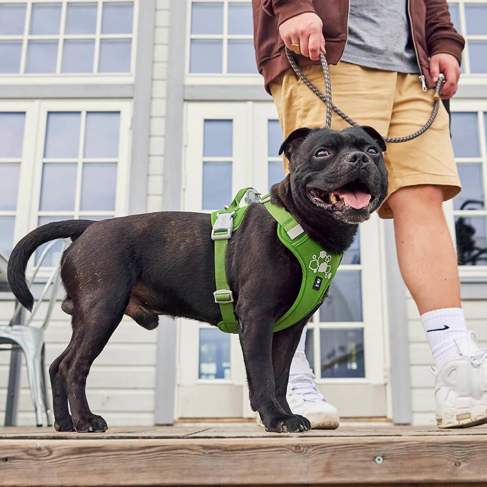 Hurtta Weekend Warrior II ECO Dog Harness Parsley 5 Sizes