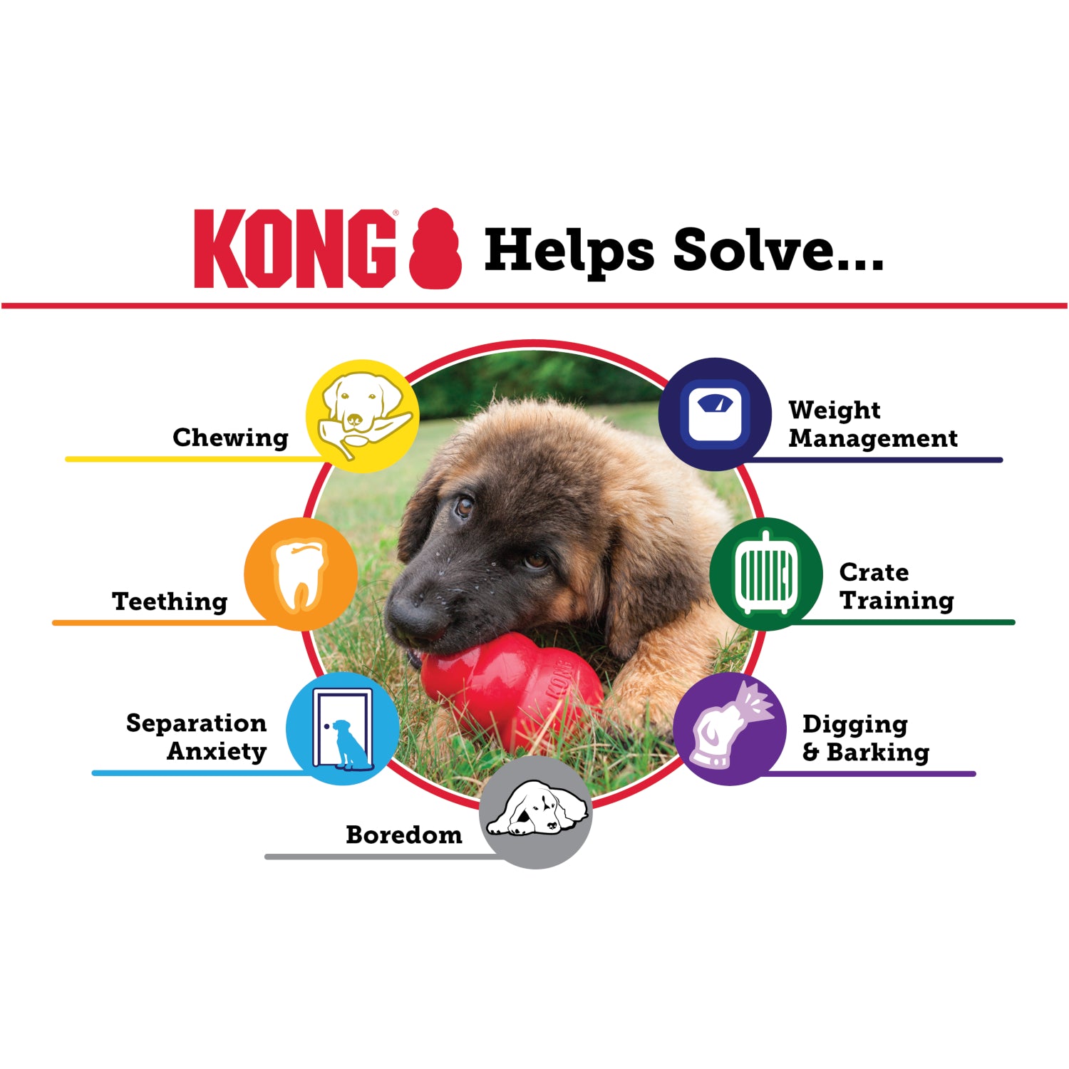 KONG Puppy