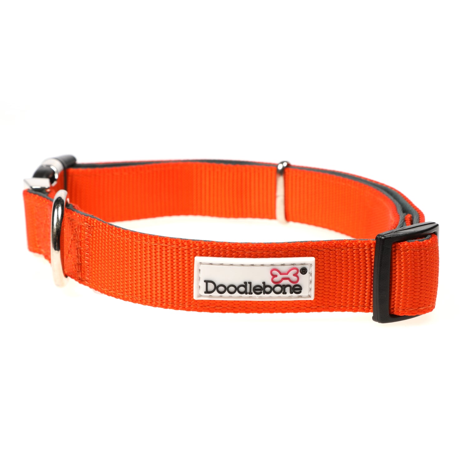 Doodlebone Originals Padded Dog Collar Tangerine 3 Sizes