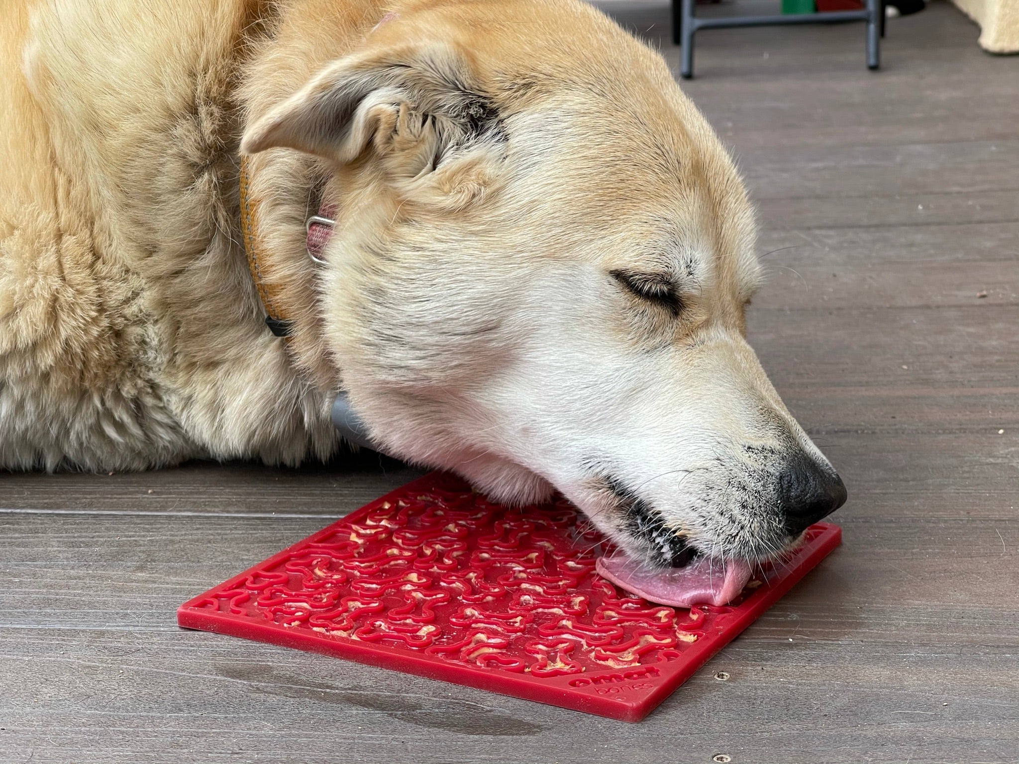 Sodapup EMAT Licking Enrichment Mat Bones 2 Colours