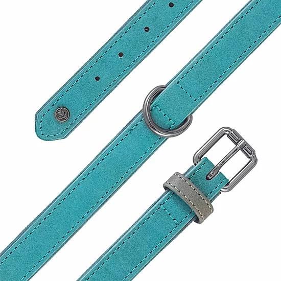 Sotnos Brights Aquatech Dog Collar Teal