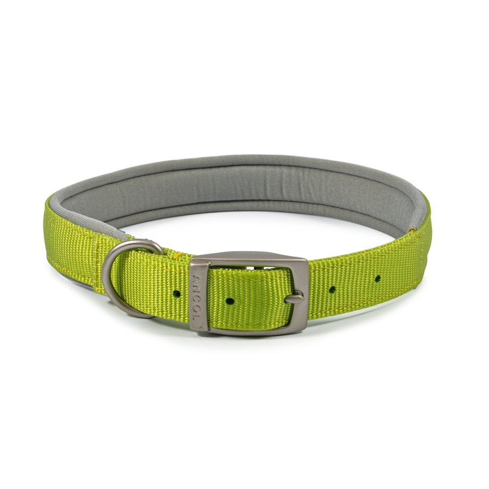 Ancol Viva Dog Collars Buckle Nylon Neoprene Padded Lime 5 Sizes