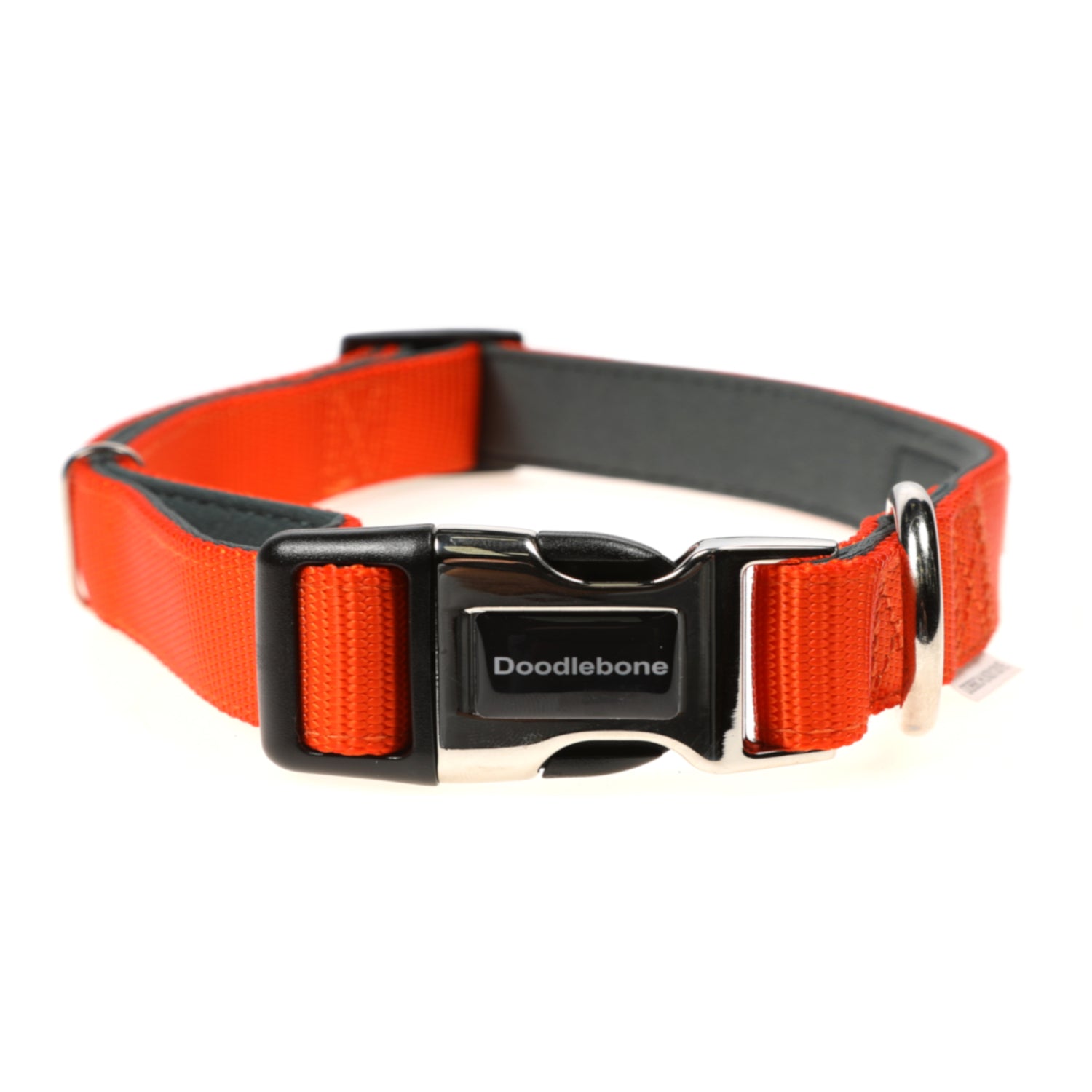 Doodlebone Originals Padded Dog Collar Tangerine 3 Sizes