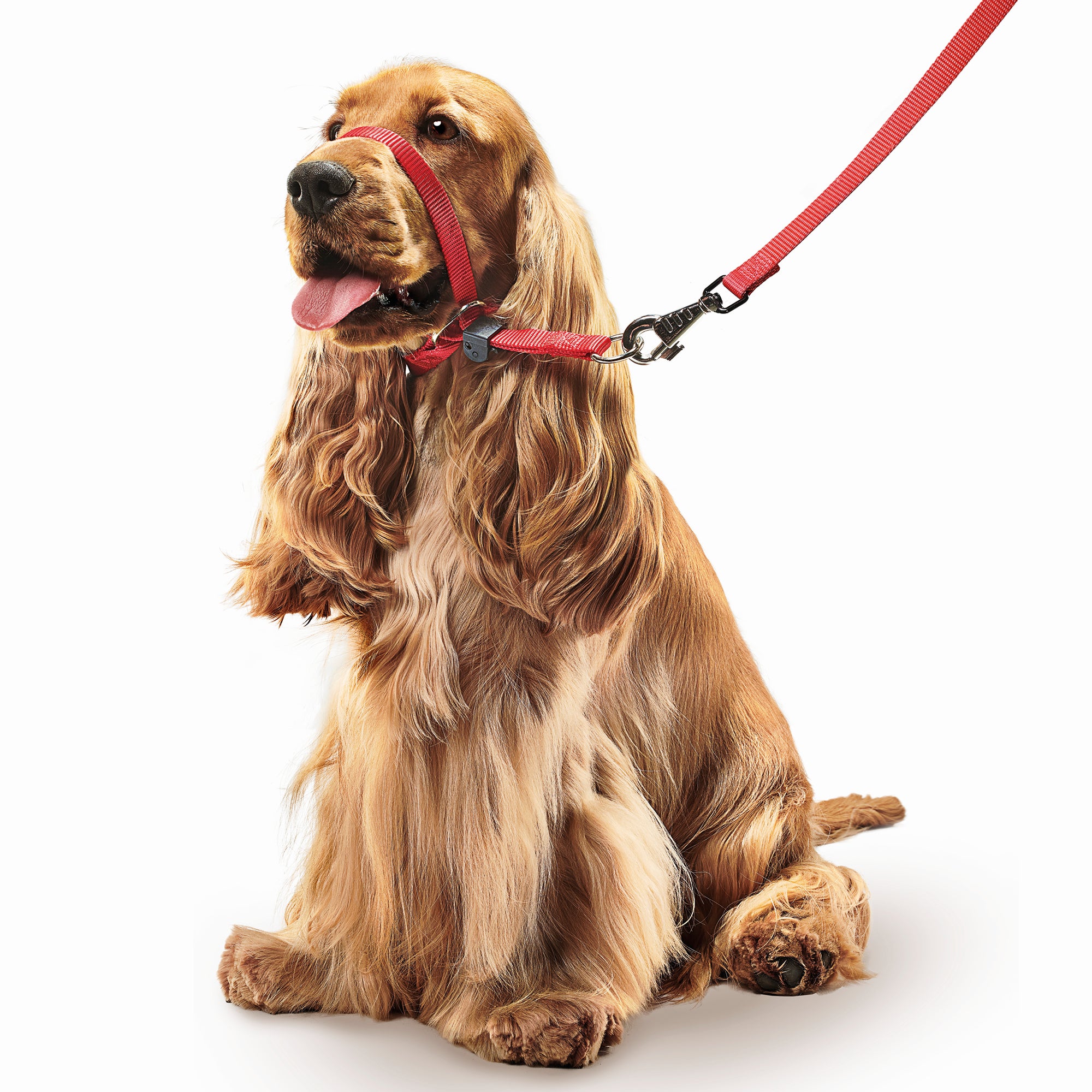 Beaphar Gentle Leader Head Collar Dog Lead STOPS Pulling Red 3 Sizes