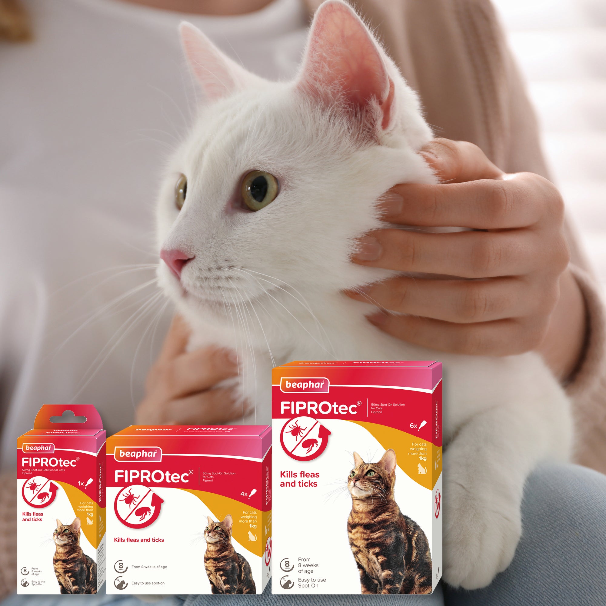 Beaphar Fiprotec Spot On Flea / Tick Treatment for Cats