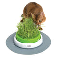 Catit Senses 2.0 Grass Planter