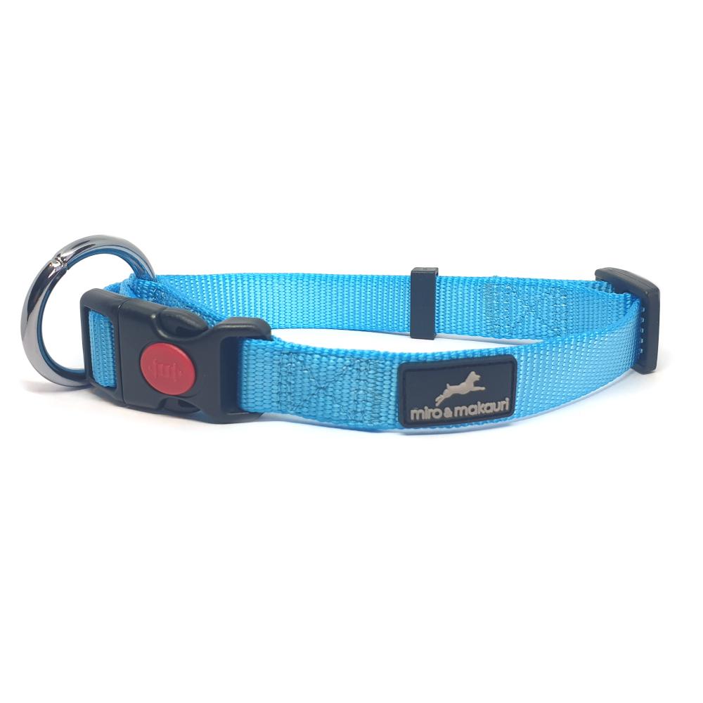 Miro & Makauri Belay Nylon Safety Dog Collars Cyan 4 Sizes