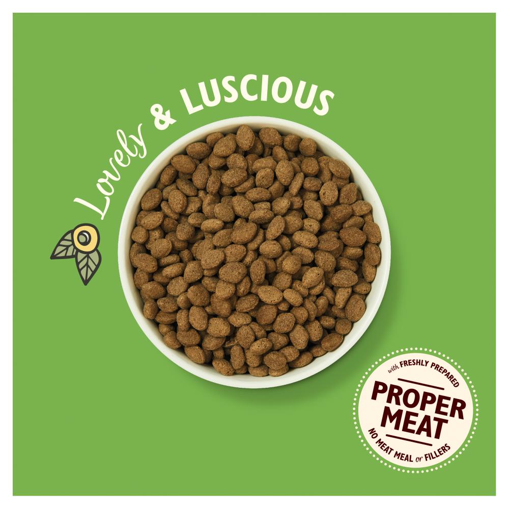 Lily's Kitchen Lamb & Peas Parsley Dry Dog Food 1kg