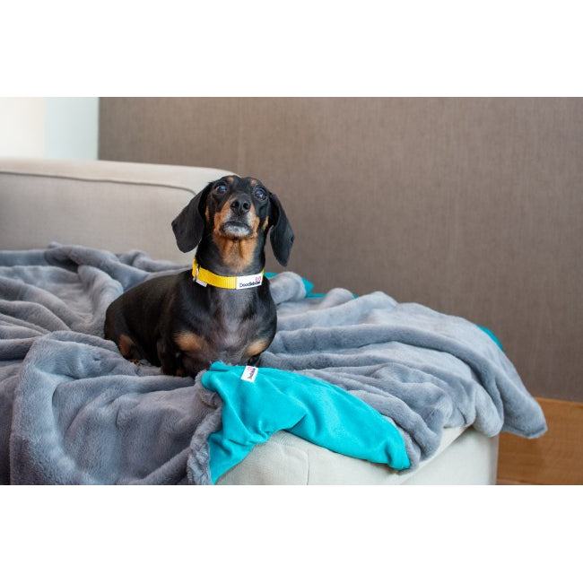 Doodlebone Faux Fur Dog Blanket Slate/Teal